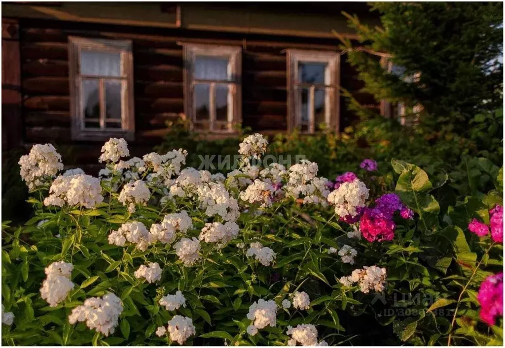 Дом в Архангельская область, Онега пер. Кучина (63 м) - Фото 0