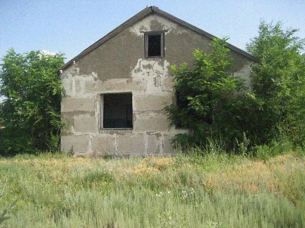 Помещение свободного назначения в Волгоградская область, Чернышковский ... - Фото 0