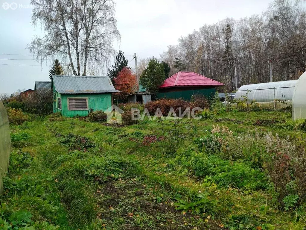 Участок в Новосибирск, садоводческое товарищество Любитель, 128 (6.62 ... - Фото 0