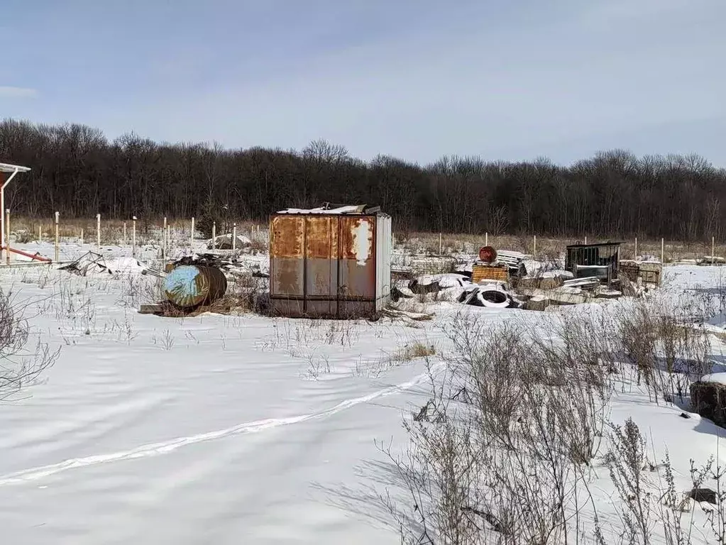 Участок в Белгородская область, Старый Оскол Пушкарские Дачи-2 мкр,  ... - Фото 1