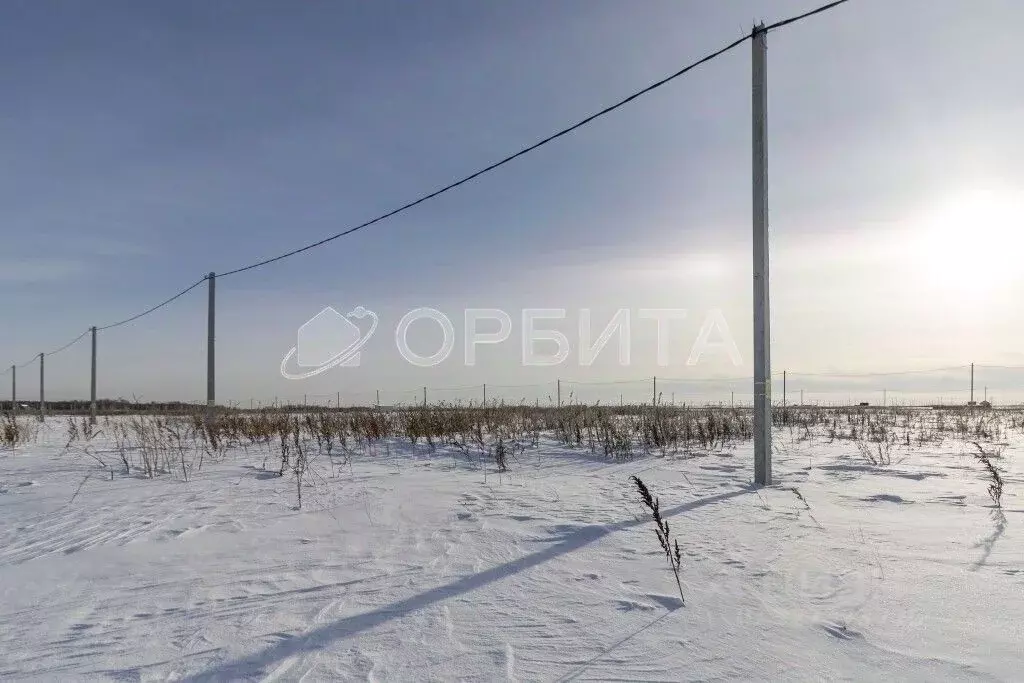 Участок в Тюменская область, Тюменский муниципальный округ, д. Большие ... - Фото 2