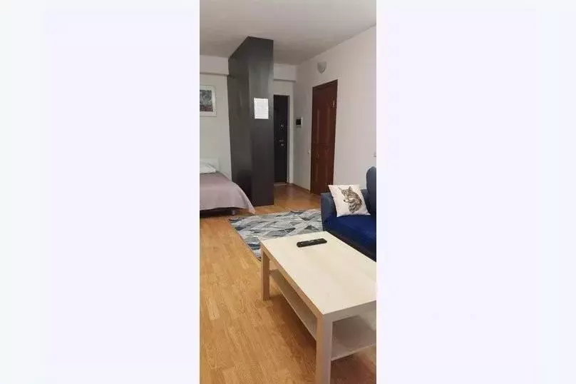1-к кв. Краснодарский край, Сочи Хоста жилрайон, ул. Платановая, 15А ... - Фото 1