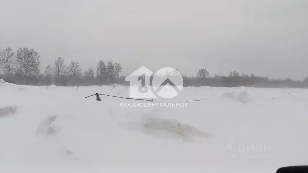 Участок в Новосибирская область, Мошковский район, пос. Октябрьский  ... - Фото 0