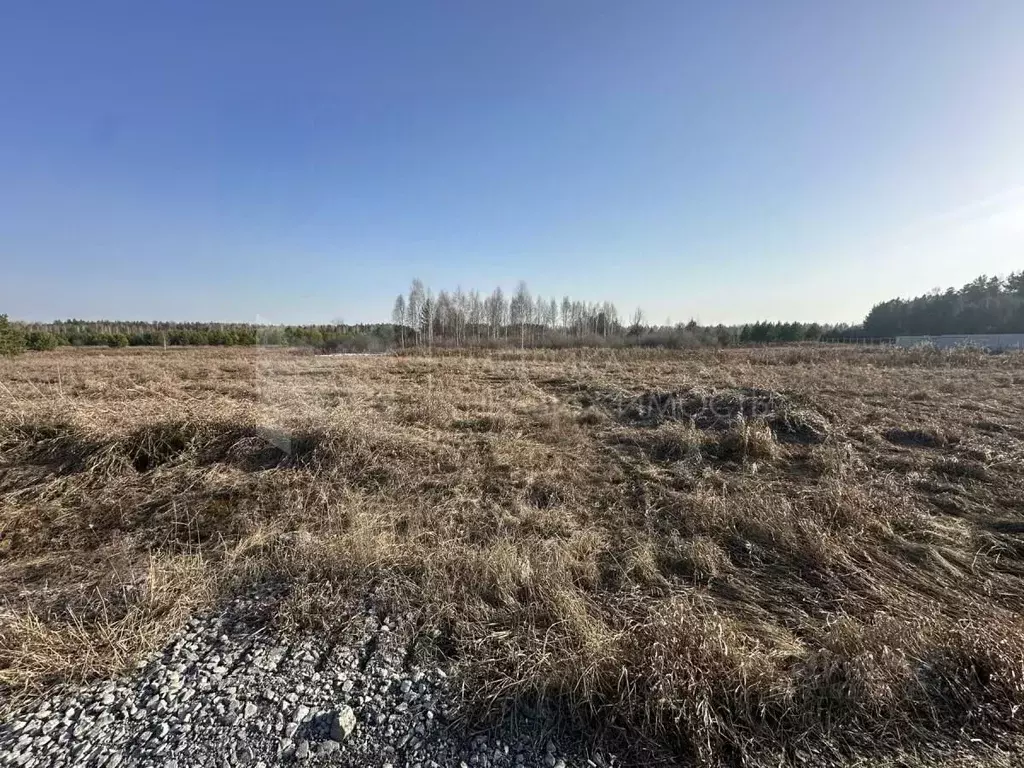 Участок в Тюменская область, Нижнетавдинский район, Березка СНТ  (8.0 ... - Фото 1