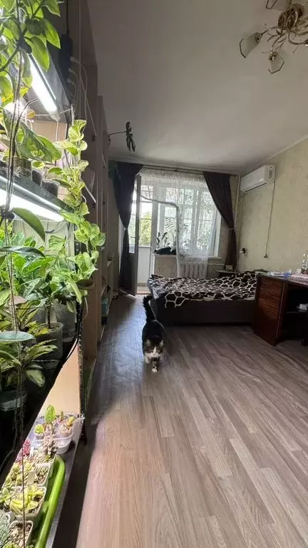 1-к кв. Краснодарский край, Краснодар ул. Имени Евдокии Бершанской, ... - Фото 1