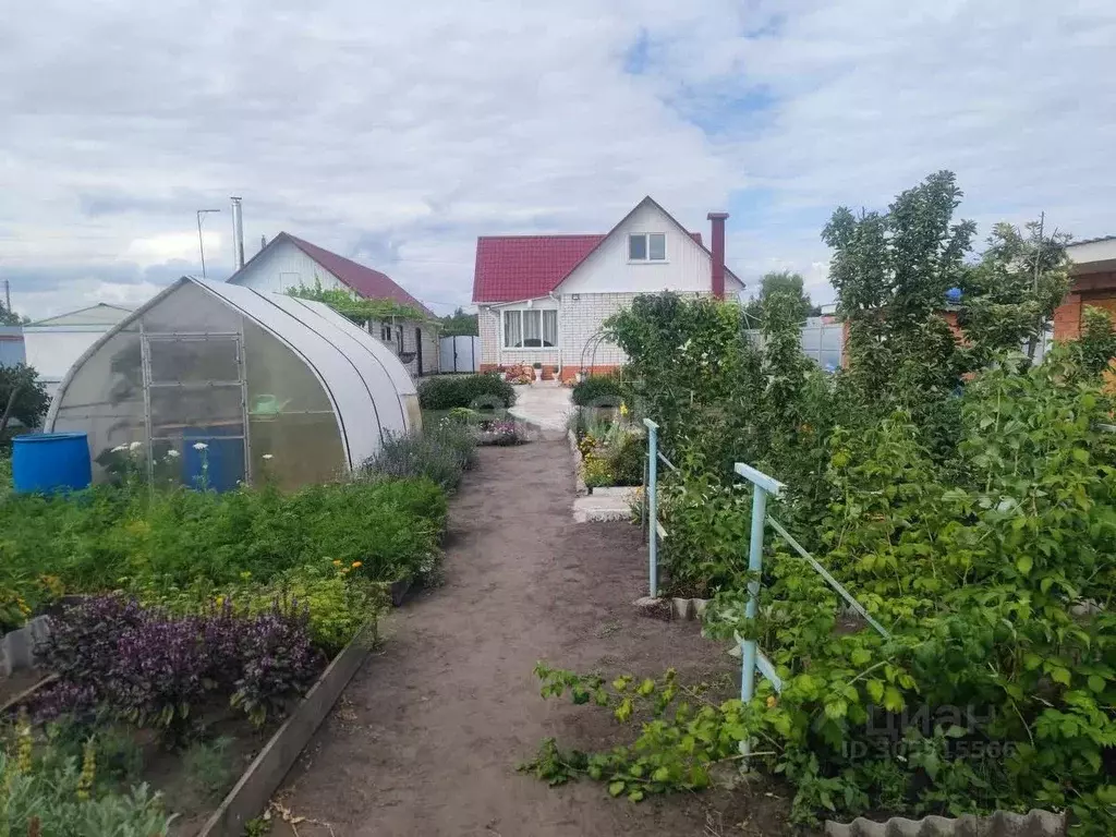 дом в воронежская область, борисоглебский городской округ, с. . - Фото 1