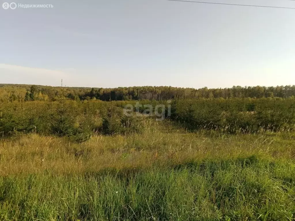 Участок в сельское поселение Высокиничи, деревня Каньшино (4811.6 м) - Фото 0