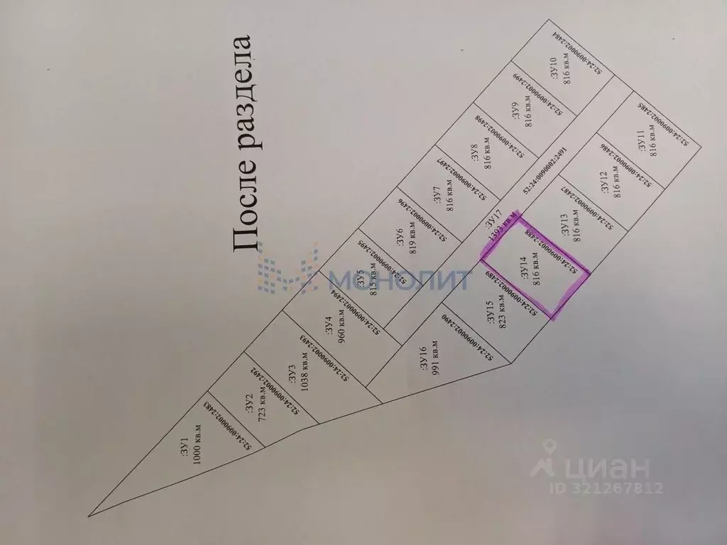 Участок в Нижегородская область, Богородский муниципальный округ, с. ... - Фото 1