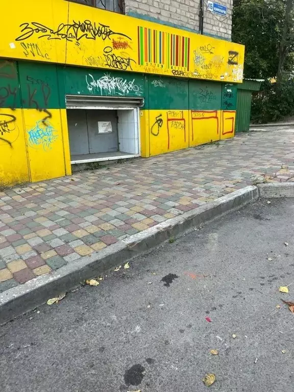 Помещение свободного назначения в Воронежская область, Воронеж ул. ... - Фото 1