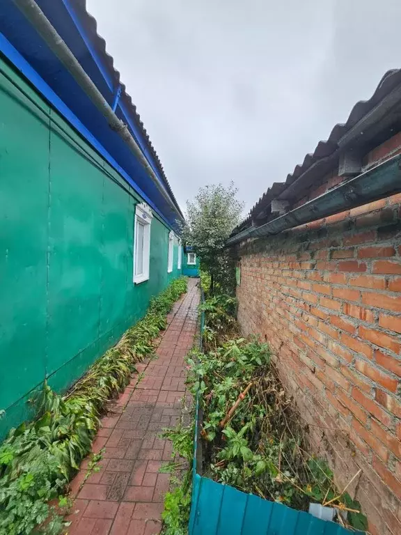 Дом в Омская область, Калачинск ул. Котовского, 58 (74 м) - Фото 2