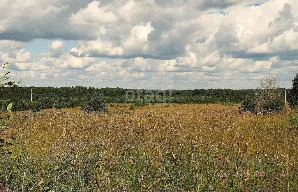 Участок в Ульяновская область, Чердаклинский район, Мирновское с/пос, ... - Фото 1