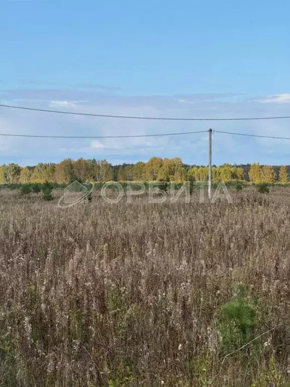 Участок в Тюменская область, Тюменский муниципальный округ, д. Елань  ... - Фото 0