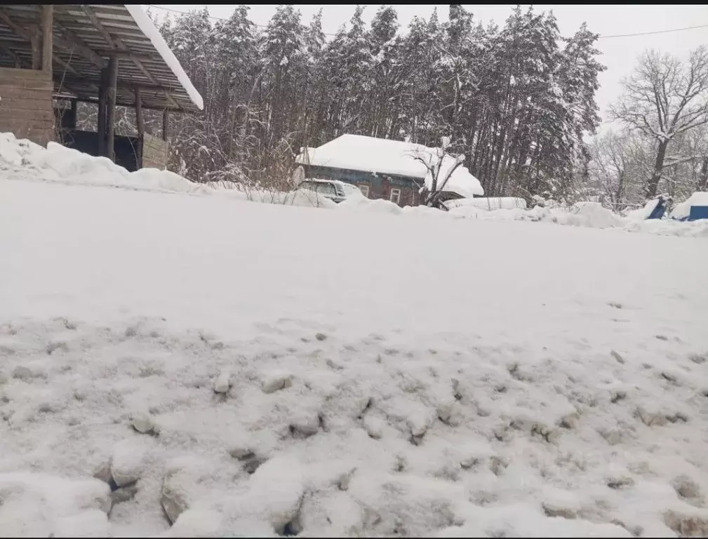Участок в Тульская область, Тула городской округ, д. Медвенка  (18.0 ... - Фото 2