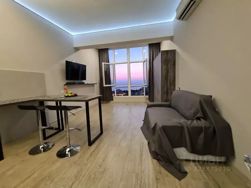 1-к кв. Краснодарский край, Сочи Светлана мкр, ул. Депутатская, 10 ... - Фото 2