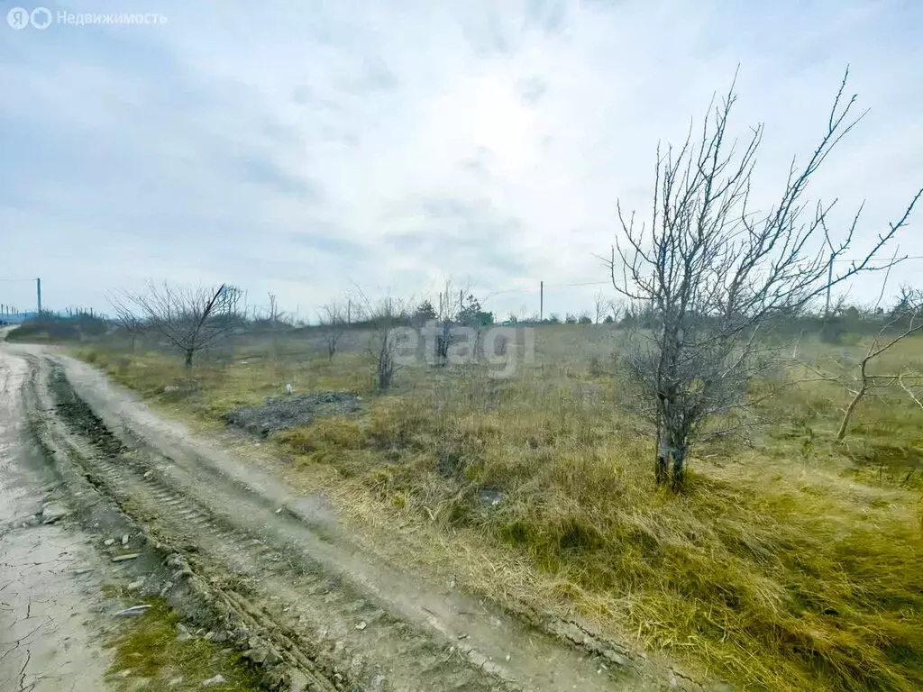 Участок в Краснодарский край, городской округ Новороссийск, посёлок ... - Фото 0