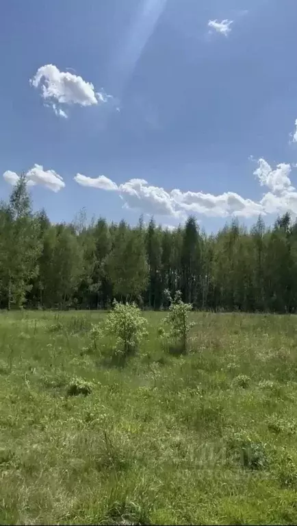Участок в Московская область, Щелково городской округ, Монино пгт ул. ... - Фото 2