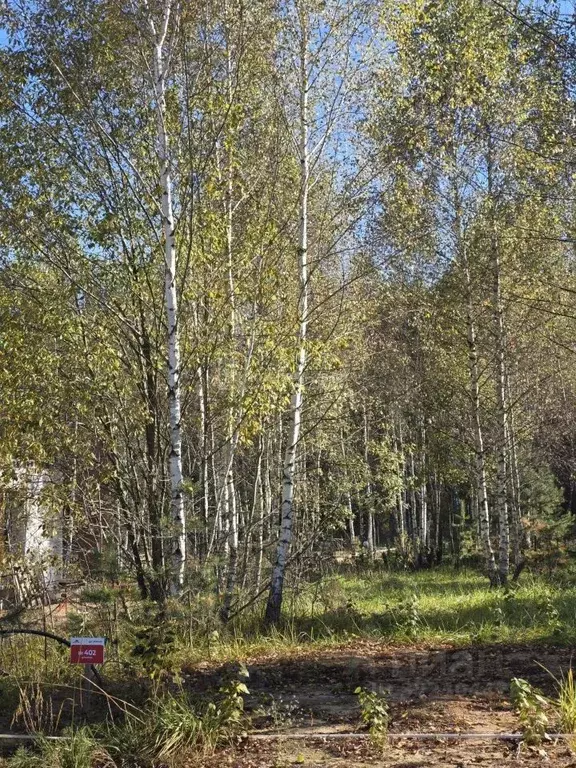Участок в Владимирская область, Ковровский район, Доброград ... - Фото 2