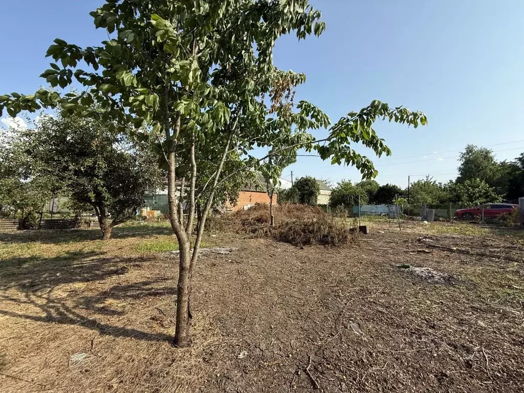 Участок в Краснодарский край, Краснодар Черников хут., ул. Центральная ... - Фото 2