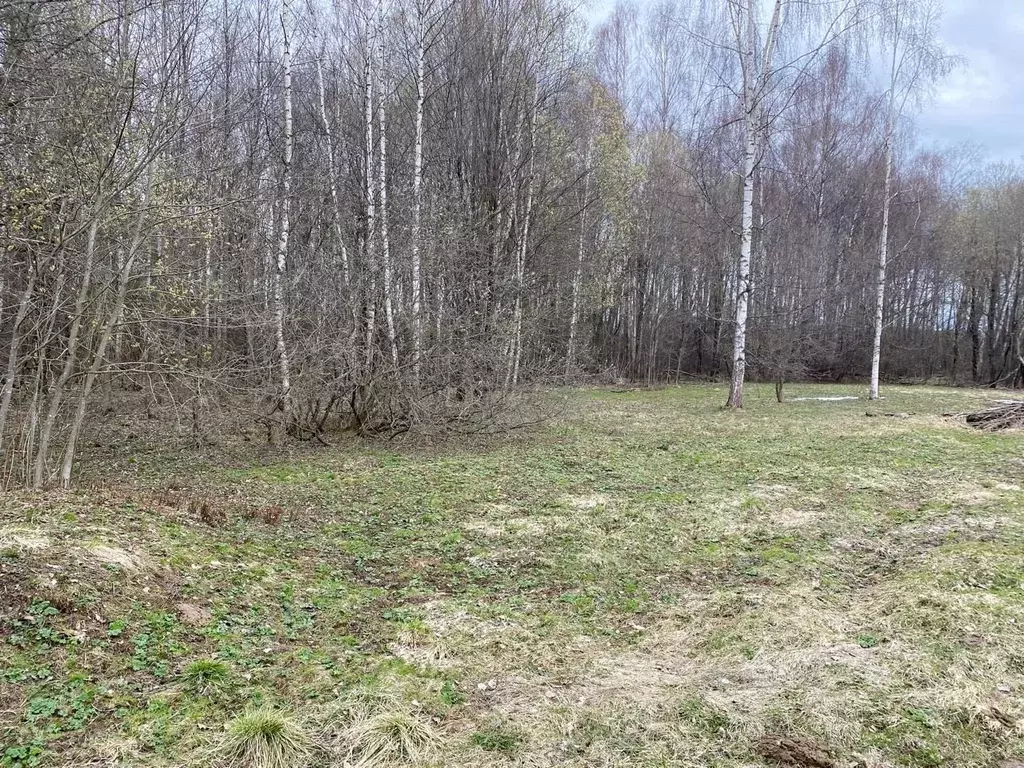 Участок в Московская область, Рузский муниципальный округ, д. Грязново ... - Фото 0