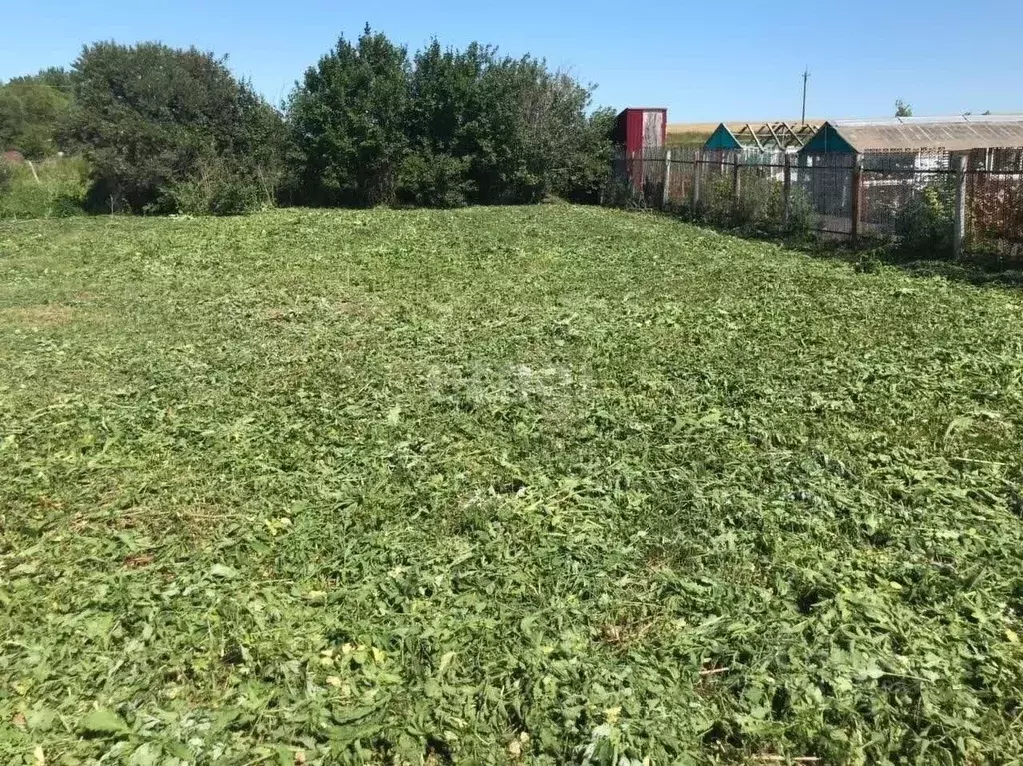 Участок в Мордовия, Саранск городской округ, с. Грибоедово ул. ... - Фото 0