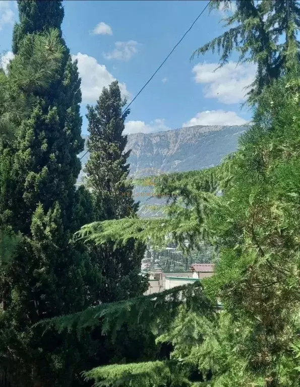 2-к кв. Крым, Ялта ул. Строителей, 9 (53.0 м) - Фото 1