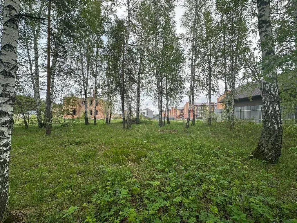 Участок в Новосибирская область, Новосибирский район, Мочищенский ... - Фото 0