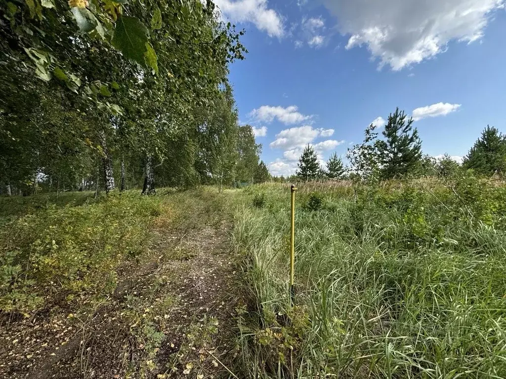 Участок в Тюменская область, Тюменский район, Новокаменский кп  (10.0 ... - Фото 0