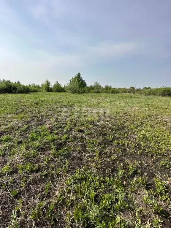 Участок в Башкортостан, Нефтекамск Восход садовые участки,  (10.0 ... - Фото 2