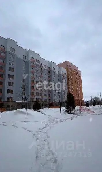 Студия Алтайский край, Барнаул городской округ, Южный рп тракт Южный, ... - Фото 1