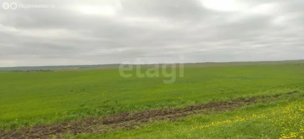 Участок в Заветное, Виноградная улица (650 м) - Фото 2