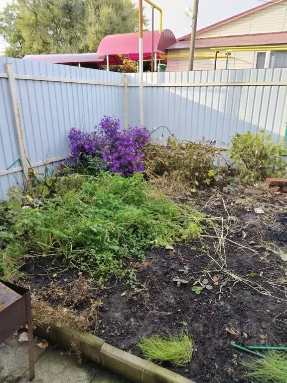 1-к кв. Тамбовская область, Тамбов ул. Тамары Дерунец, 6 (23.0 м) - Фото 2