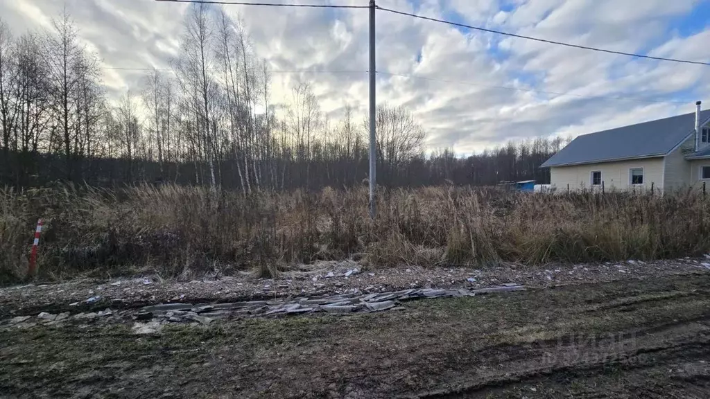 Участок в Московская область, Ступино городской округ, д. Дубнево  ... - Фото 1