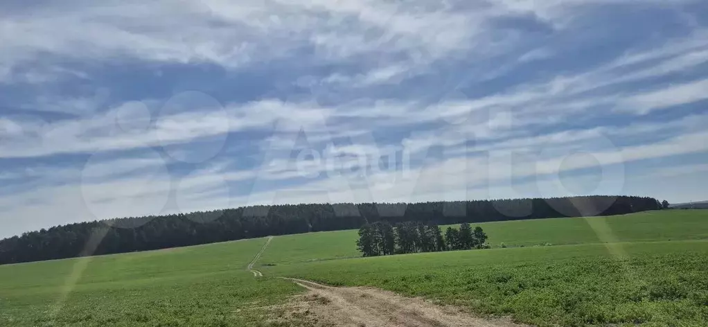 Участок 7 сот. (ИЖС) - Фото 0