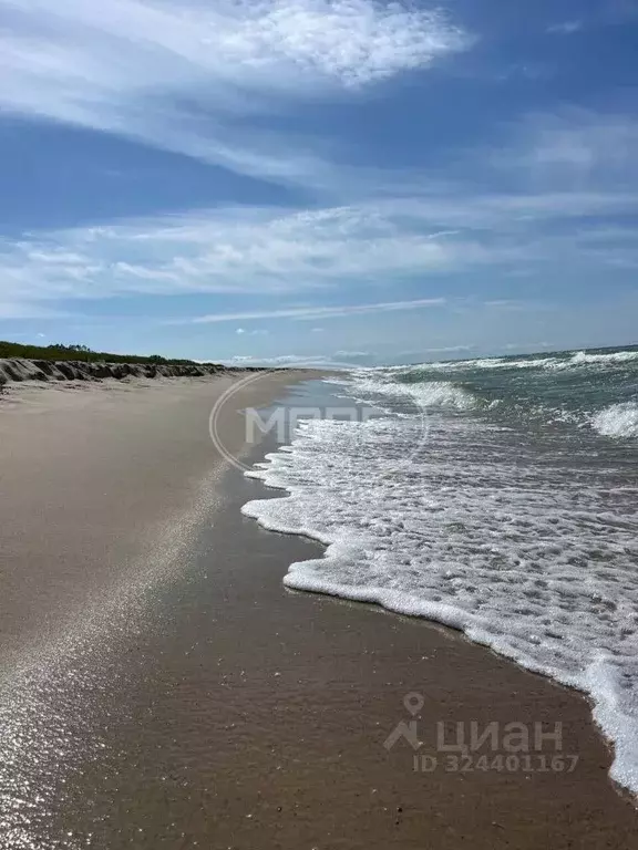Участок в Калининградская область, Зеленоградский муниципальный округ, ... - Фото 0