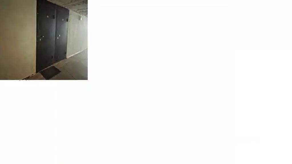 Помещение свободного назначения в Приморский край, Владивосток ул. ... - Фото 2