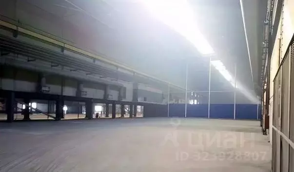 Производственное помещение в Ленинградская область, Всеволожск ул. ... - Фото 2