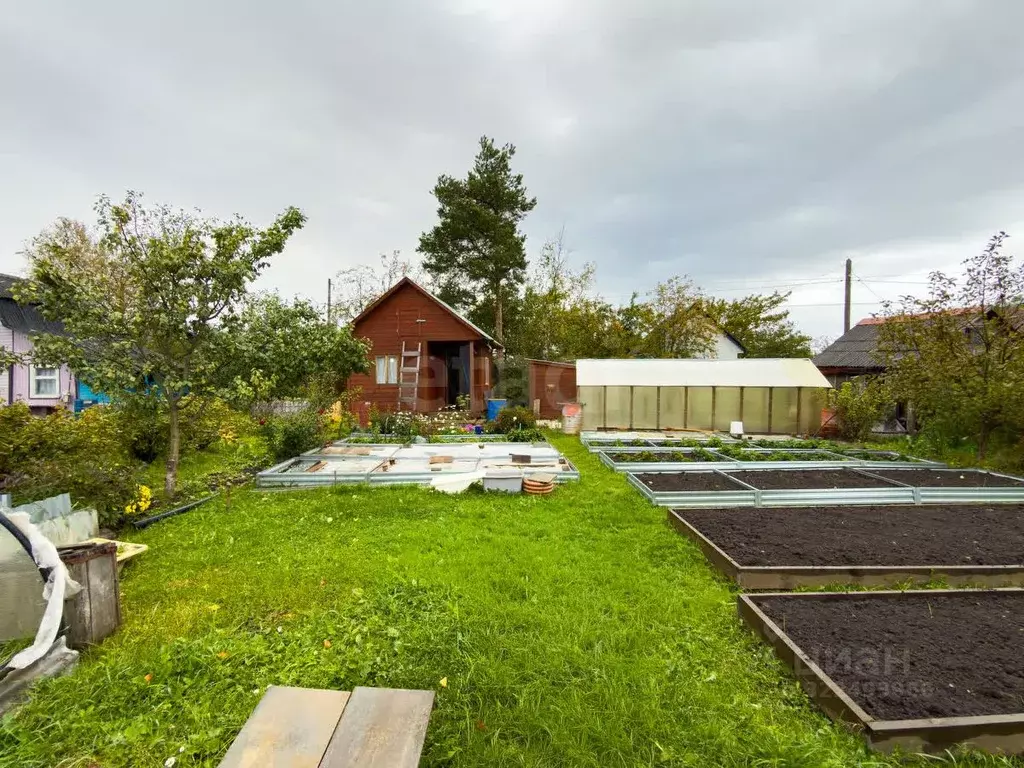 Дом в Вологодская область, Вологда Пчелка садоводческое товарищество,  ... - Фото 1