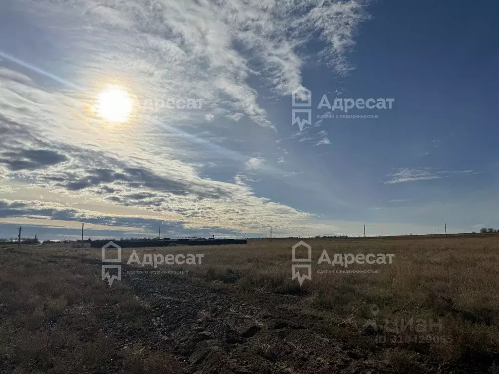 Участок в Волгоградская область, Светлоярский район, Дубовоовражное ... - Фото 1