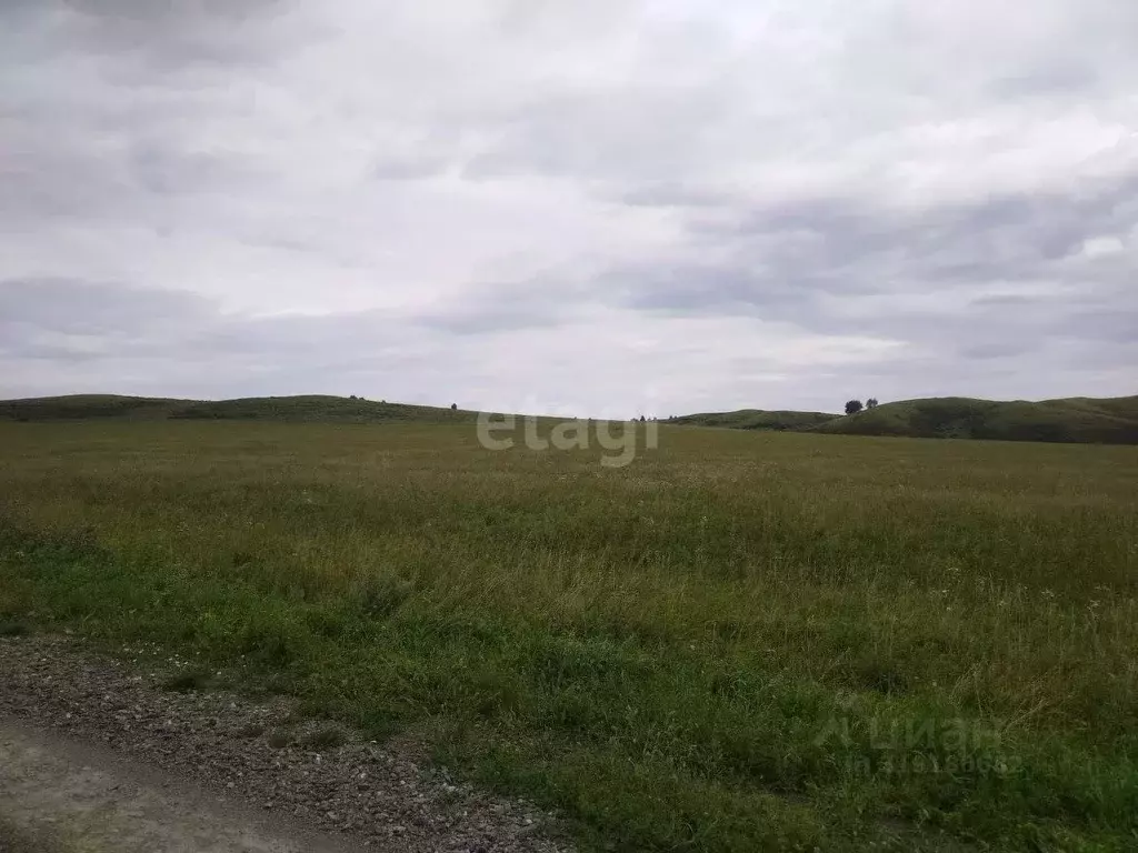 Участок в Алтайский край, Усть-Калманский район, с. Слюдянка ... - Фото 1