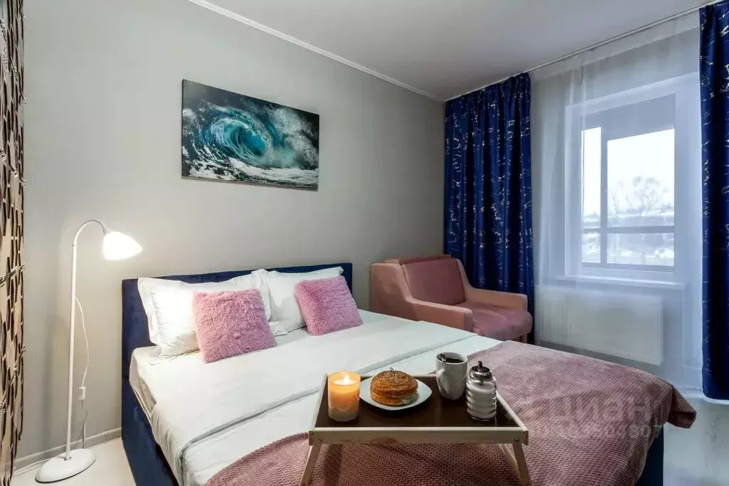 Студия Санкт-Петербург просп. Буденного, 21к1 (24.0 м) - Фото 1
