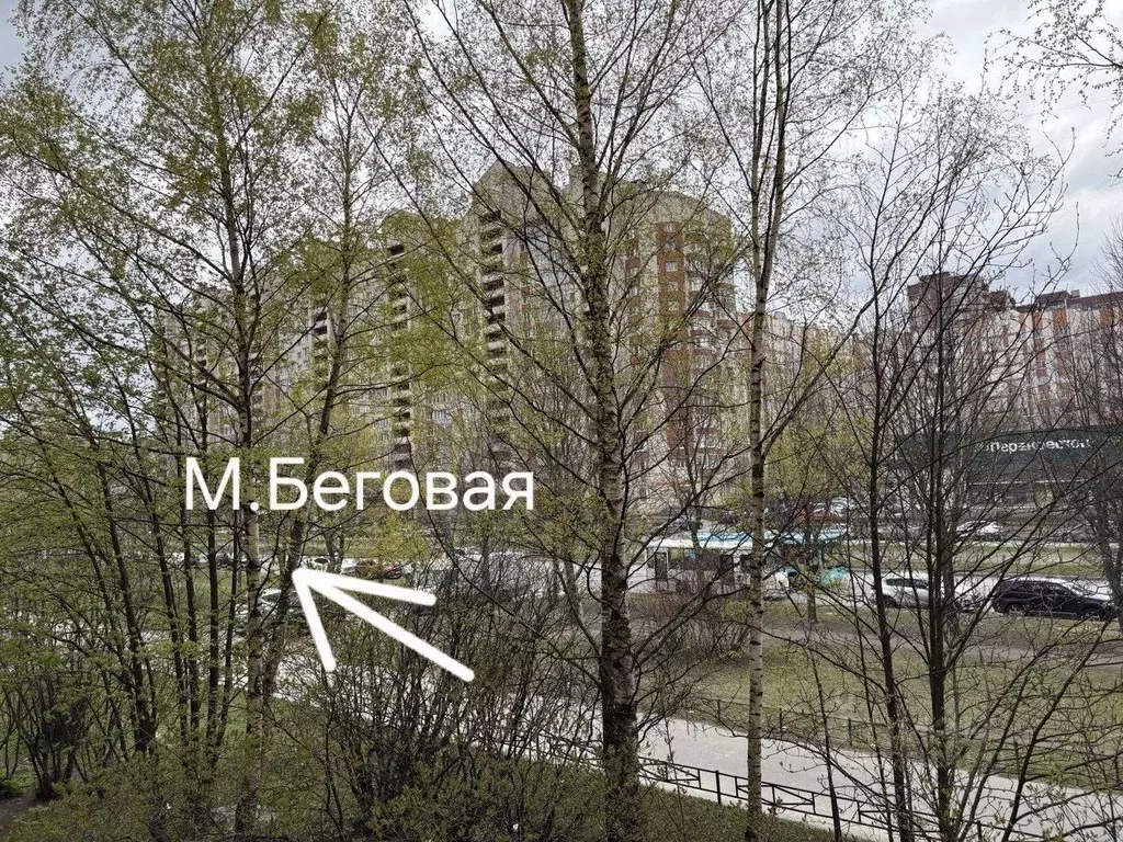 1-к кв. Санкт-Петербург ул. Савушкина, 145 (36.7 м) - Фото 1