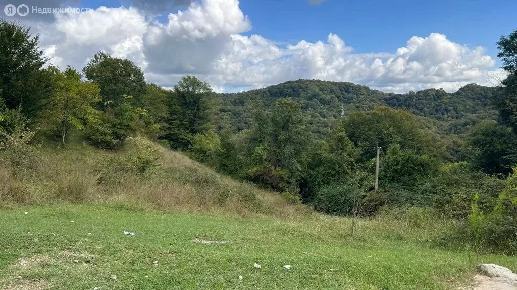 Участок в Краснодарский край, городской округ Сочи, село ... - Фото 2