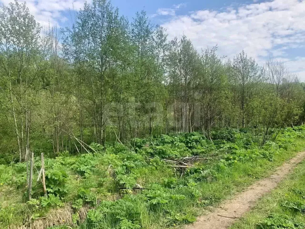 Участок в Московская область, Дмитровский муниципальный округ, ... - Фото 1