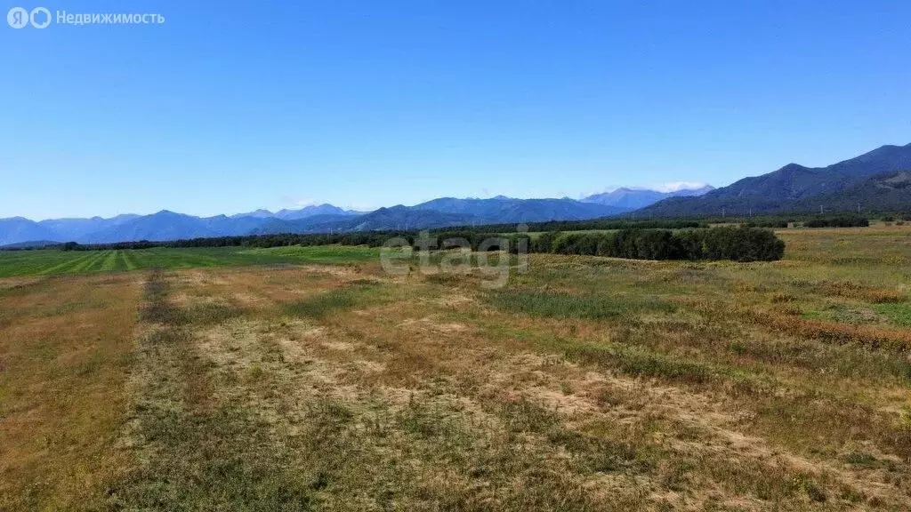 Участок в Елизовский район, село Сосновка (15 м) - Фото 1