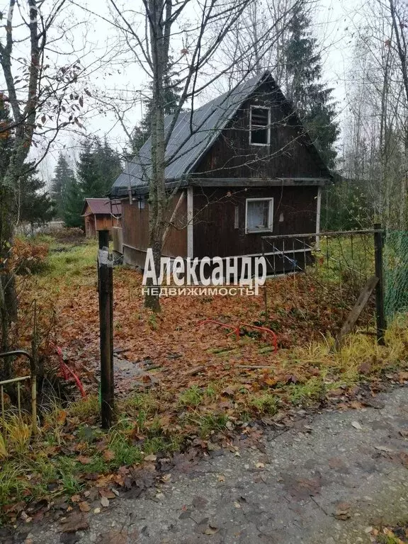 Участок в Мшинское сельское поселение, садоводческий массив Мшинская, ... - Фото 1