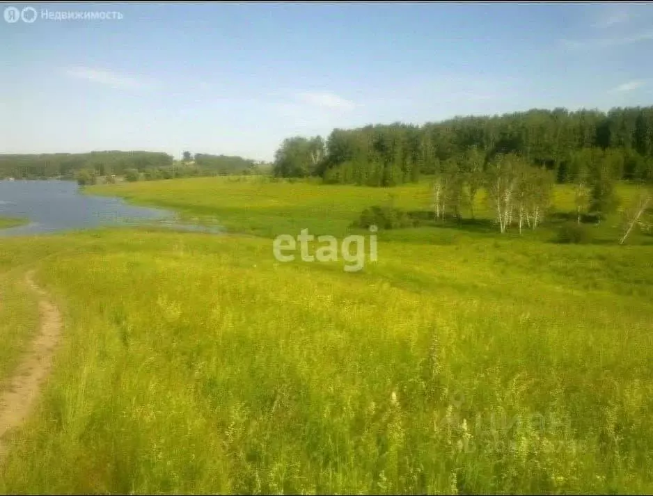 Участок в Новосибирская область, Мошковский район, с. Сокур ул. ... - Фото 0