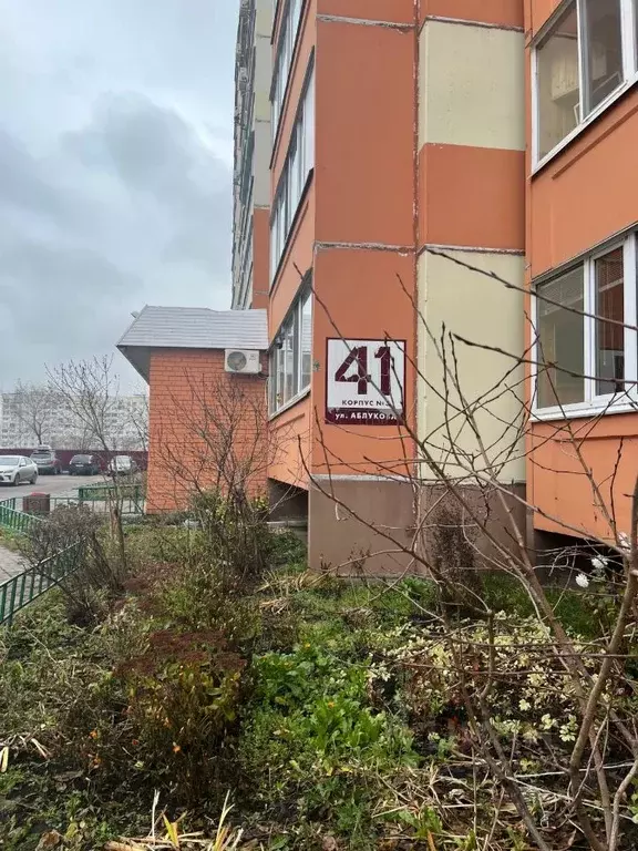 1-к кв. Ульяновская область, Ульяновск ул. Аблукова, 41к3 (35.8 м) - Фото 1