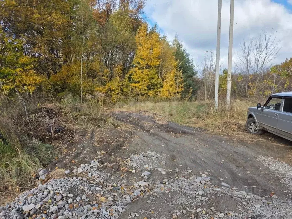 Участок в Курская область, Курский район, Моковский сельсовет, д. ... - Фото 2