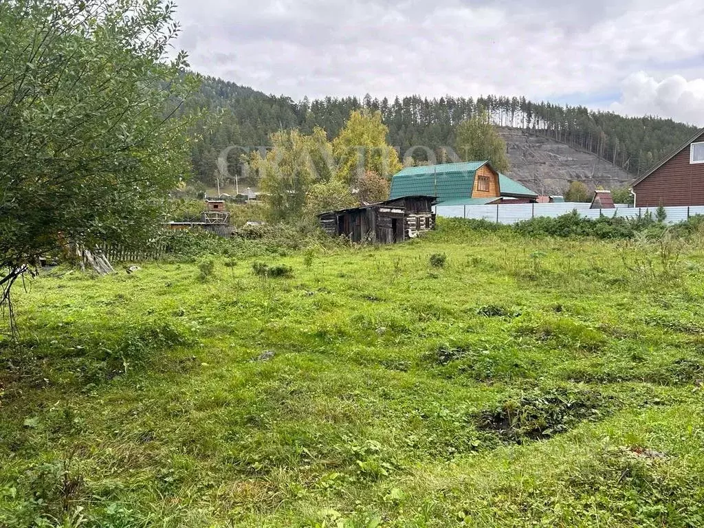 Участок в Алтай, Чемальский район, Узнезинское с/пос, с. Узнезя ул. ... - Фото 2