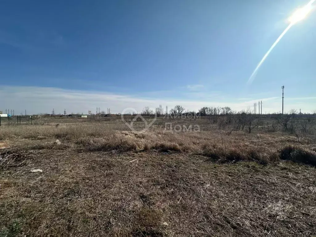 Участок в Волгоградская область, Городищенский район, Новонадеждинское ... - Фото 1